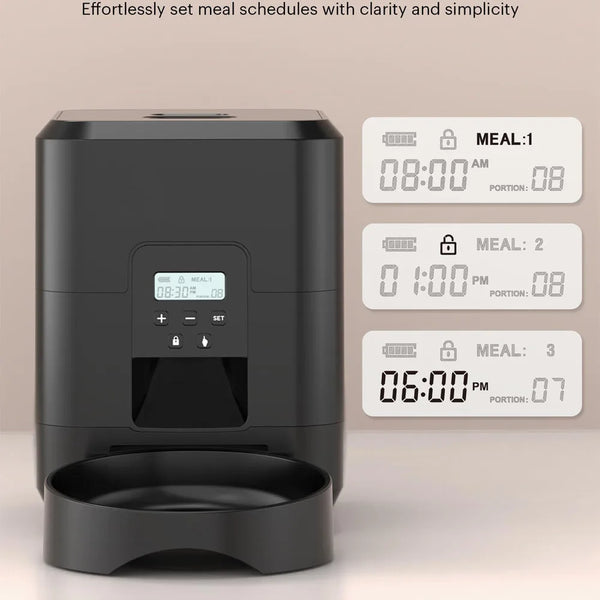 Timed Food Dispenser for Cats & Dogs