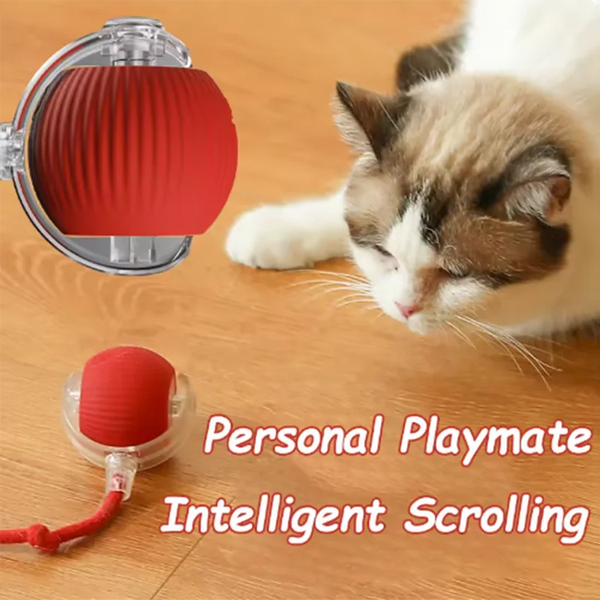Automatic Hot Dog Cat Toy Ball Interactive Bite-Resistant