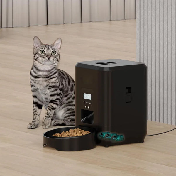 Timed Food Dispenser for Cats & Dogs