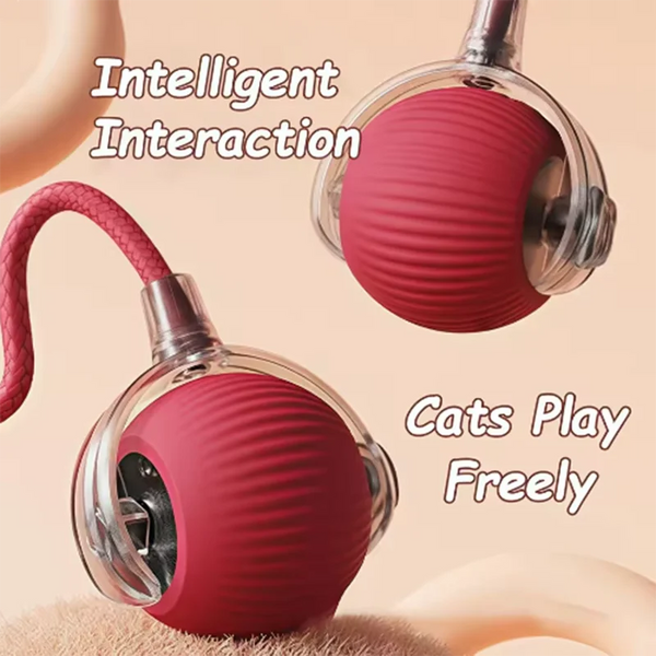 Automatic Hot Dog Cat Toy Ball Interactive Bite-Resistant
