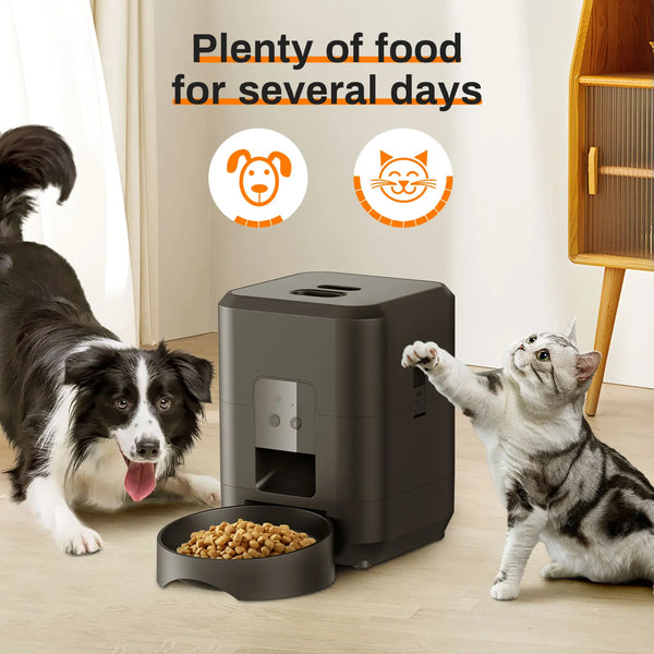 Timed Food Dispenser for Cats & Dogs