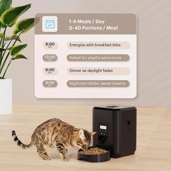Timed Food Dispenser for Cats & Dogs