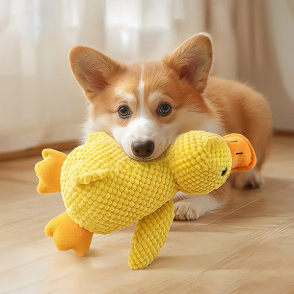 Tough Squeaky Plush Pet Toy